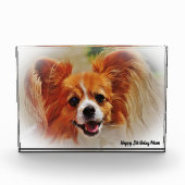 チワワ犬。 フォトブロック (正面)