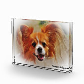 チワワ犬。 フォトブロック (右)