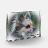 チワワ犬。 フォトブロック (左)