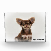 チワワ犬。 フォトブロック (正面)