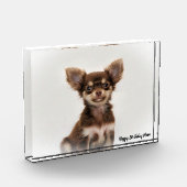 チワワ犬。 フォトブロック (左)