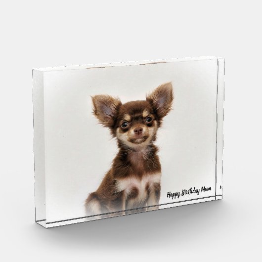 チワワ犬。 フォトブロック (左)