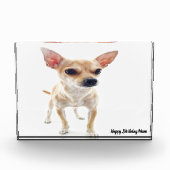 チワワ犬。 フォトブロック (正面)