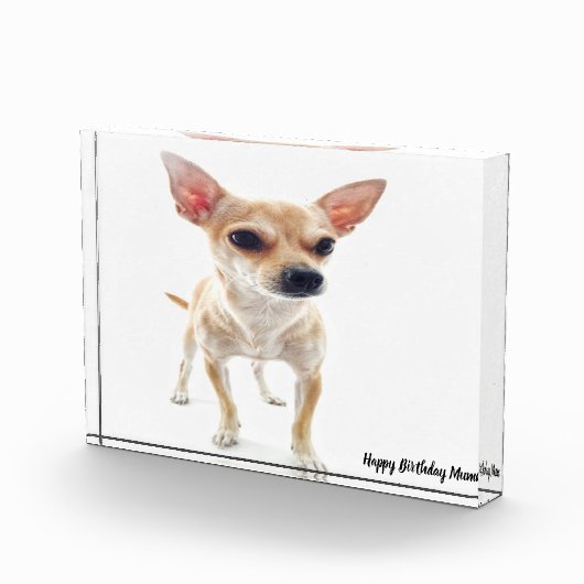 チワワ犬。 フォトブロック (右)