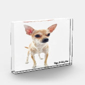 チワワ犬。 フォトブロック (左)