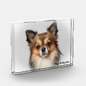 チワワ犬。 フォトブロック (左)