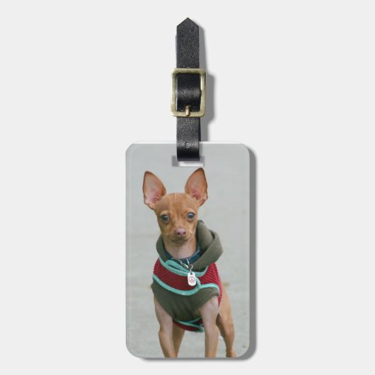 チワワ犬 ラゲッジタグ (正面縦)