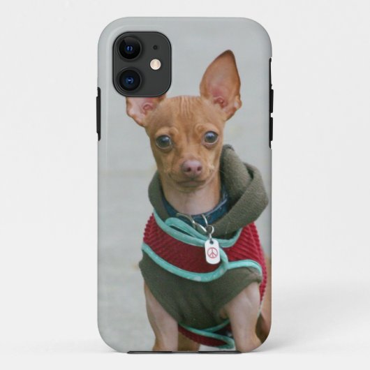 チワワ犬 Case-Mate iPhoneケース (裏面)