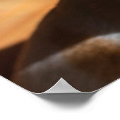 チワワ眠いリラックススクイント舌アウト写真 ポスター (角)