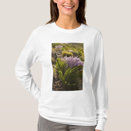 チワワ砂漠の花咲く植物 Tシャツ (正面)
