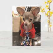 チワワ空白のグリーティングカード カード (黄色い花)