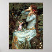 チワワ1 – オフェリア着席 ポスター (正面)