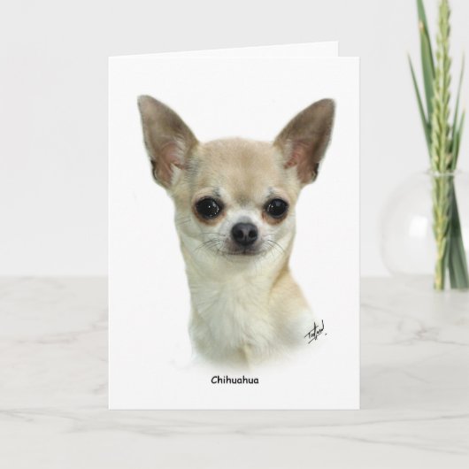 チワワ9P93D-123_2 カード (正面)