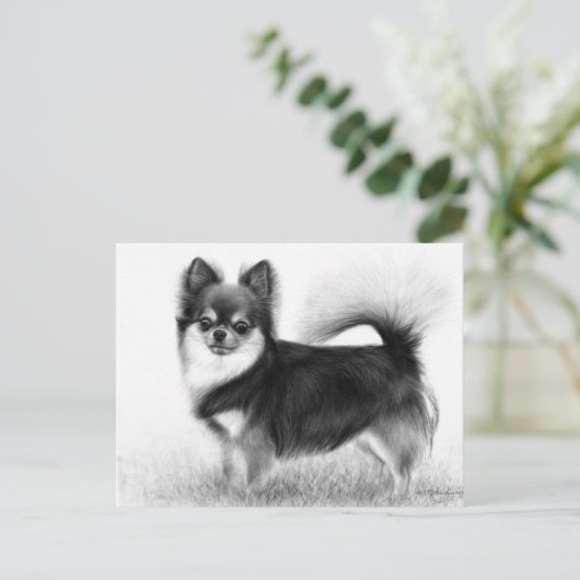 チワワ – オリジナルファインアート ポストカード (スタンド正面)