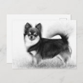 チワワ – オリジナルファインアート ポストカード (正面/裏面)