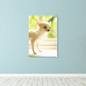 チワワ キャンバスプリント (インサイチュ (ウッドフロア))