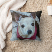 チワワ クッション (ブランケット)
