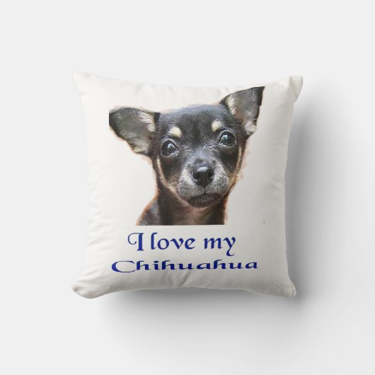 チワワ クッション (正面)