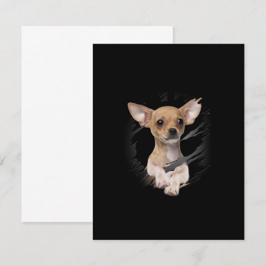 チワワ サンキューカード (正面/裏面)