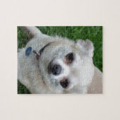 チワワ ジグソーパズル (横)