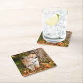 チワワ スクエアペーパーコースター (インサイチュ)