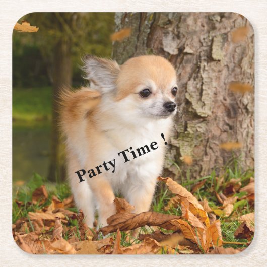 チワワ スクエアペーパーコースター (正面)