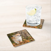 チワワ スクエアペーパーコースター (インサイチュ)