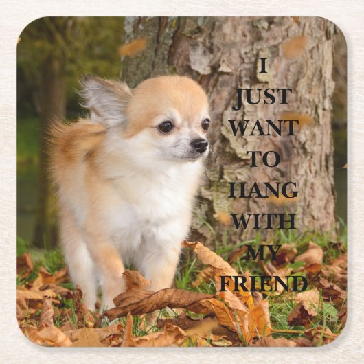 チワワ スクエアペーパーコースター (正面)
