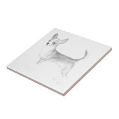 チワワ タイル (側面)