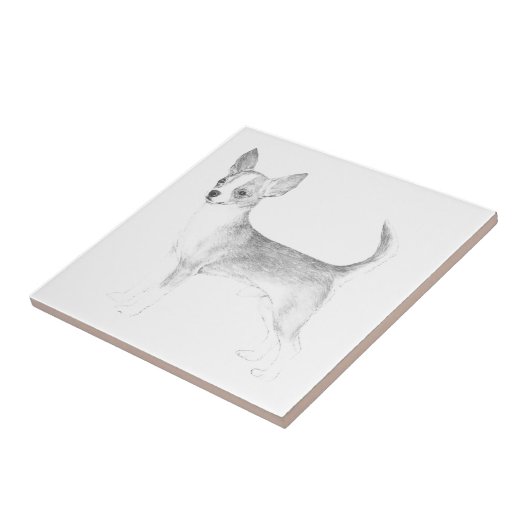 チワワ タイル (側面)