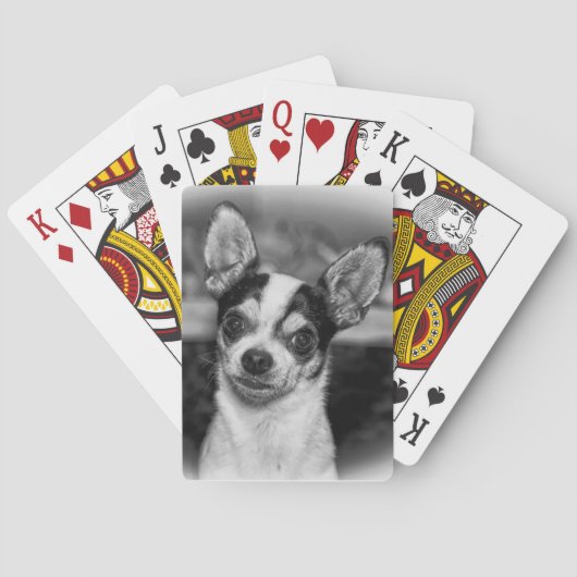 チワワ トランプ (裏面)