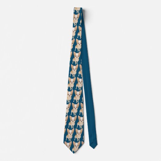 チワワ ネクタイ (正面)