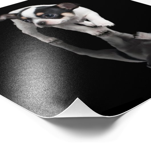 チワワ フォトプリント            (角)