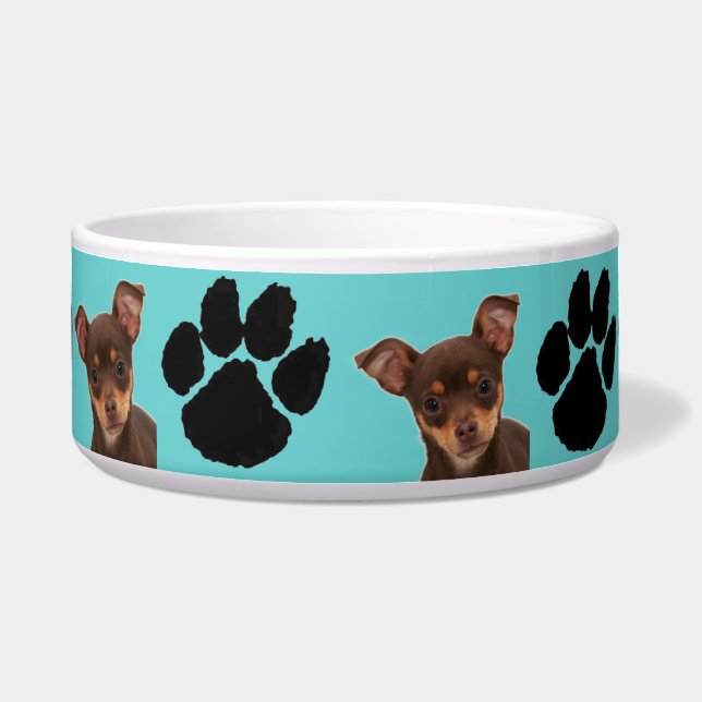 チワワ ボウル (正面)