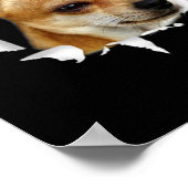 チワワ ポスター (角)