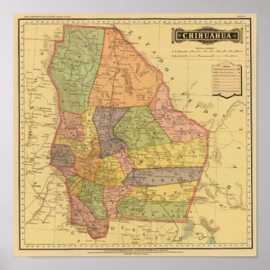 チワワ ポスター (正面)