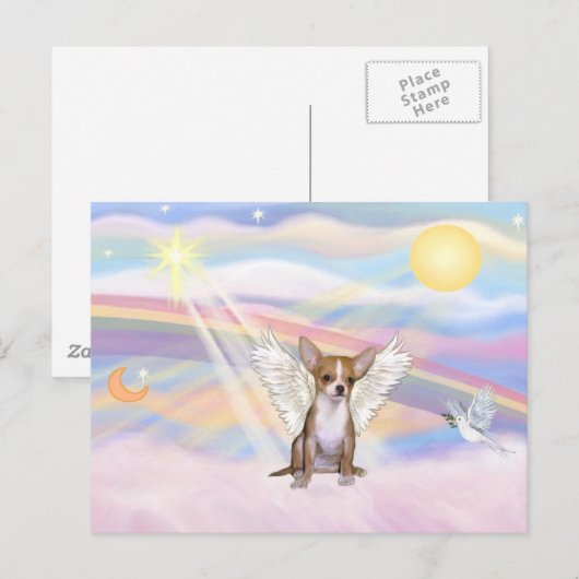 チワワ ポストカード (正面/裏面)