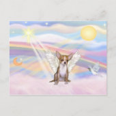 チワワ ポストカード (正面)