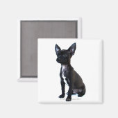 チワワ マグネット (正面/裏面)