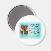 チワワ… マグネット (正面/裏面)