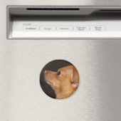 チワワ マグネット (インサイチュ (食洗機))