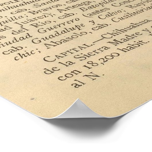 チワワ（メキシコ） ポスター (角)