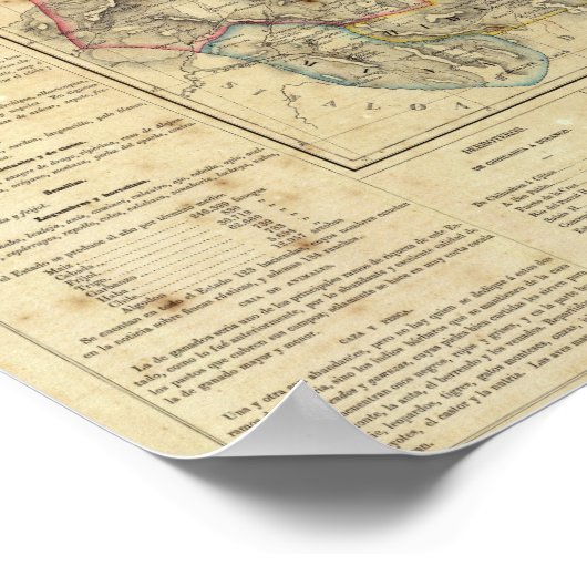 チワワ（メキシコ） ポスター (角)