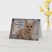 チワワ/ヨークシャーテリアパピー カード (黄色い花)