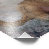 チワワ/ヨークシャーテリアパピー フォトプリント            (角)