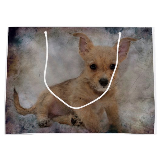 チワワ/ヨークシャーテリアパピー ラージペーパーバッグ (正面)