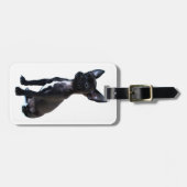 チワワ ラゲッジタグ (正面横)