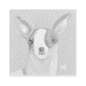 チワワ ラバースタンプ (インプリント)