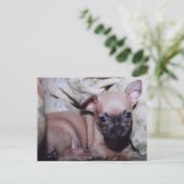 チワワ・ラバーズ・デライト ポストカード (スタンド正面)