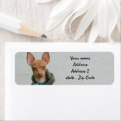 チワワ ラベル (インサイチュ)